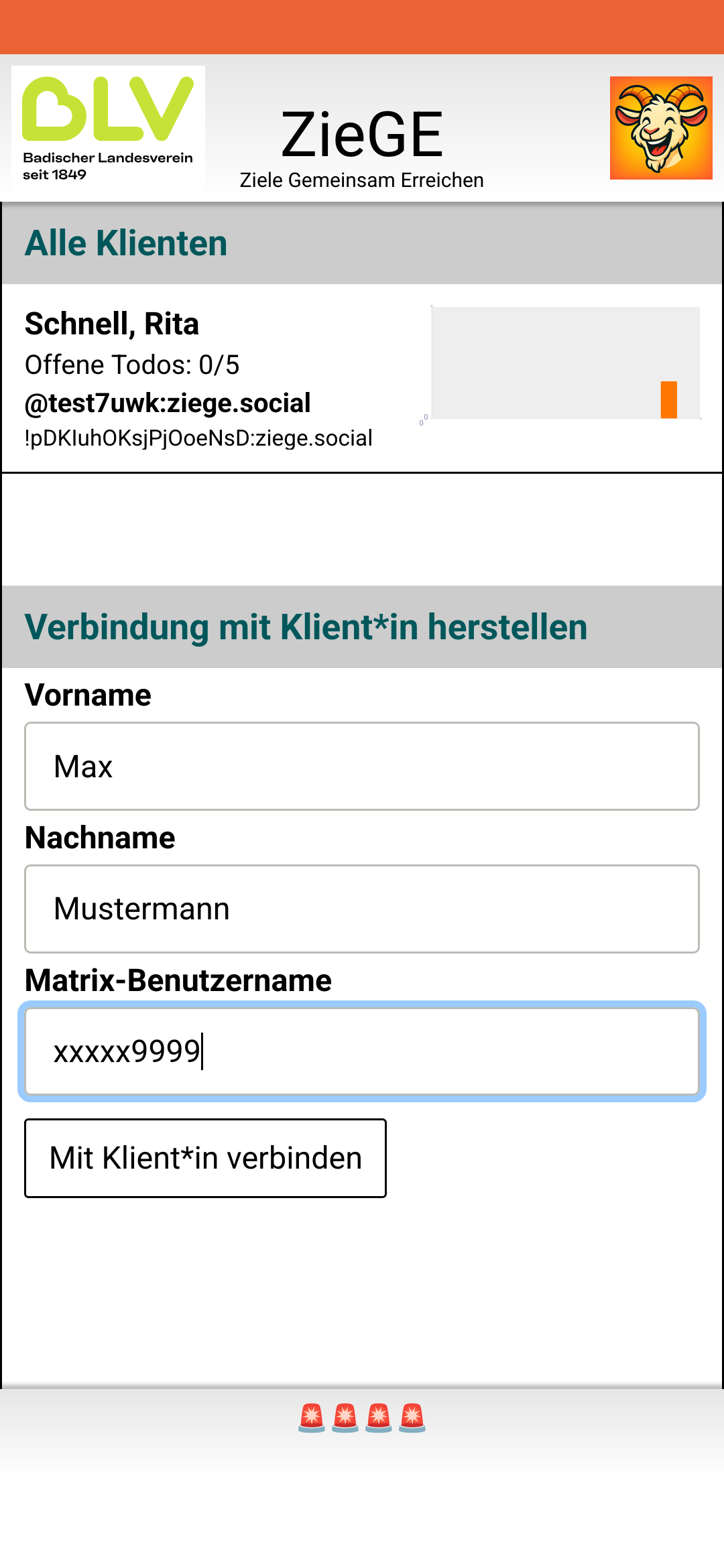Berater-Klient